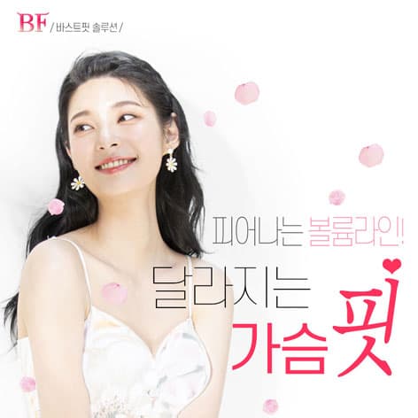 바스트핏 솔루션